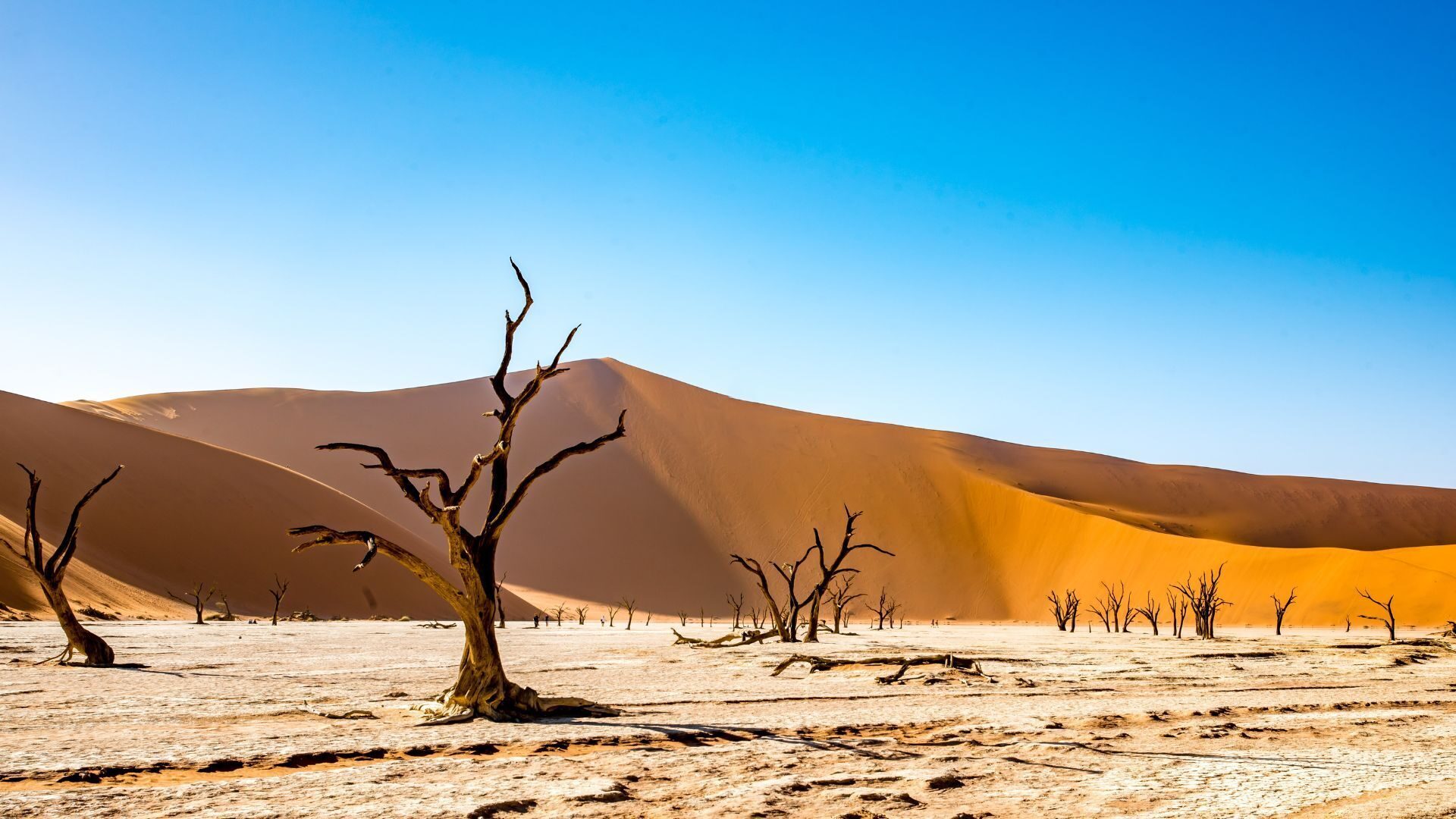Sossusvlei & the Namib