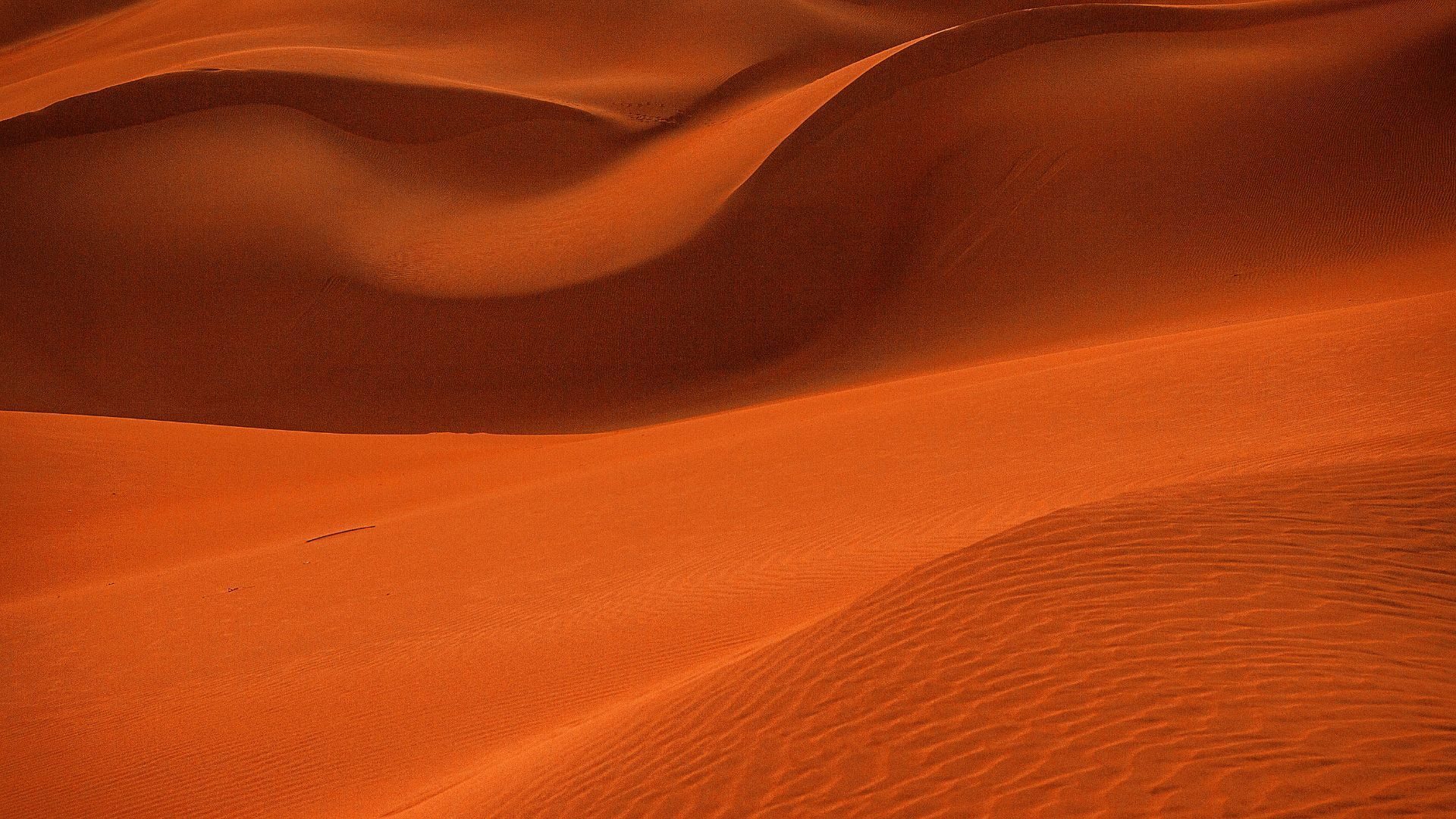 Namibian landscape detail
