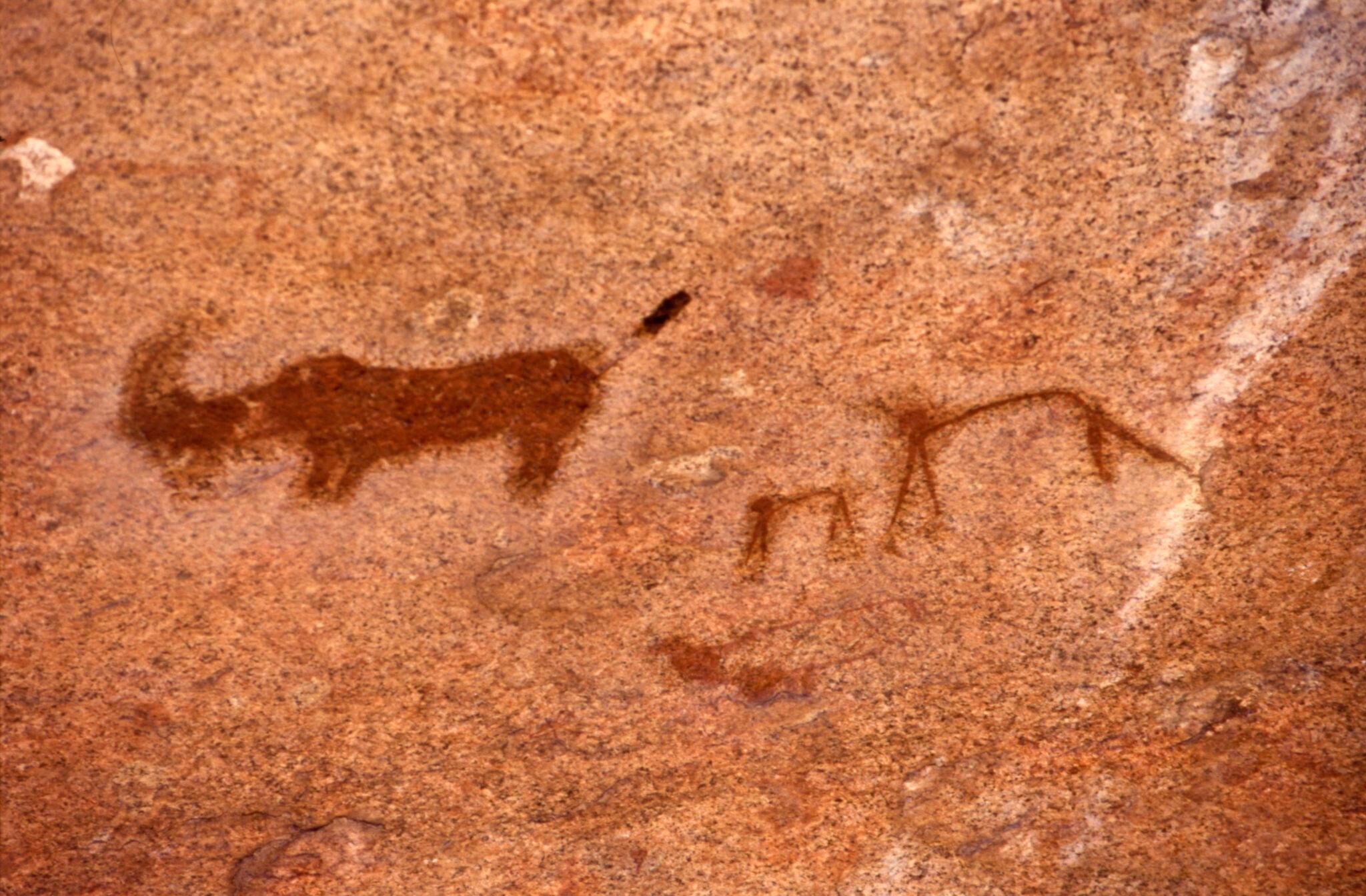 San rock paintings, thousands of years old