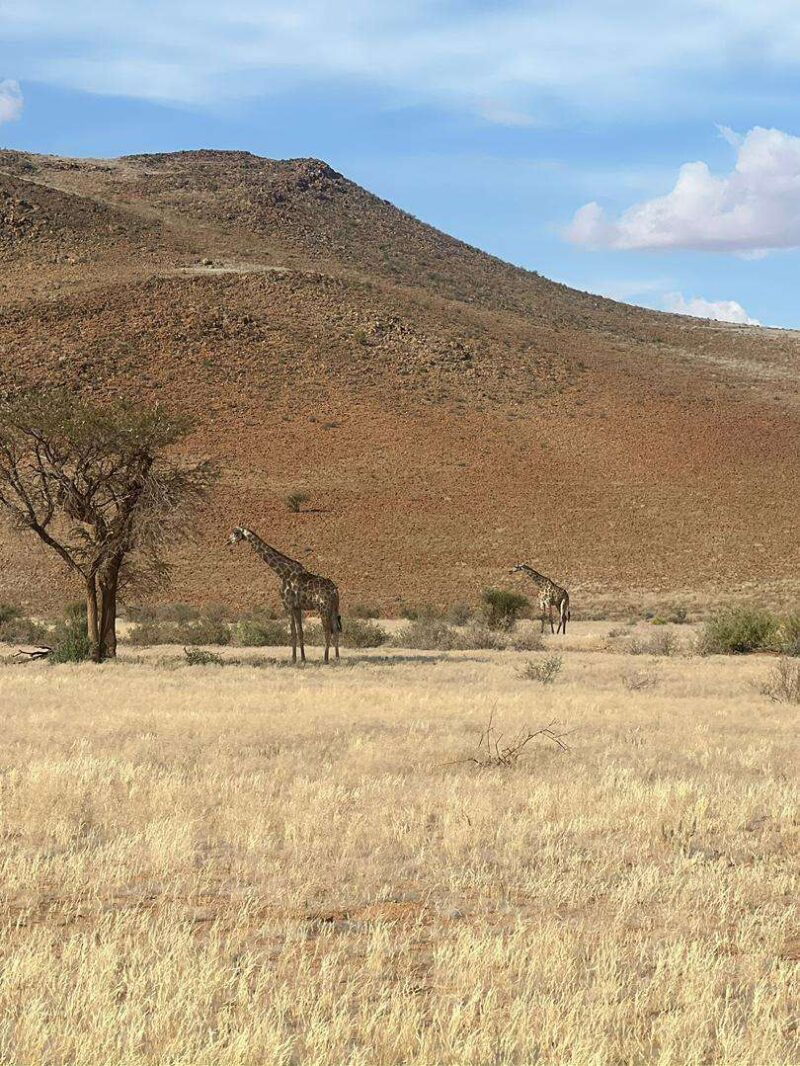 Damaraland