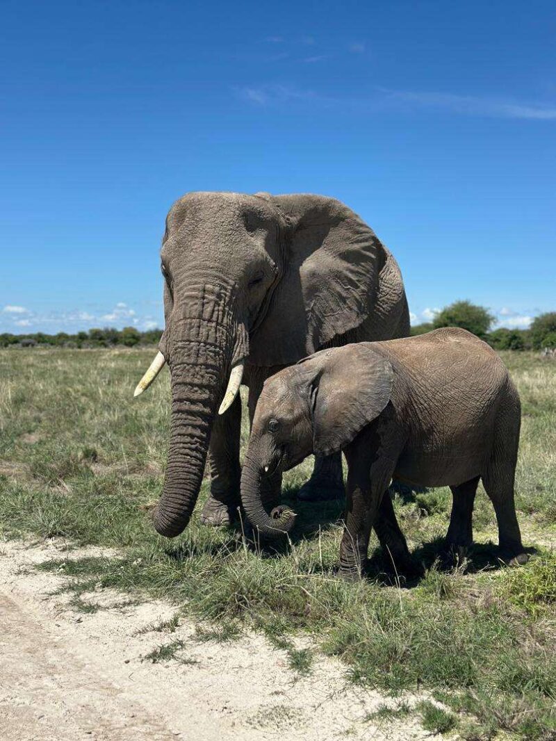 Etosha